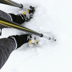 Meet your Posher, Dawn